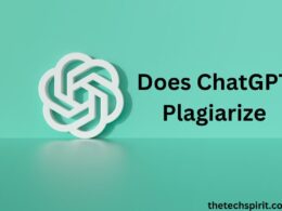 Does ChatGPT Plagiarize