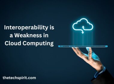 Interoperability is a Weakness in Cloud Computing